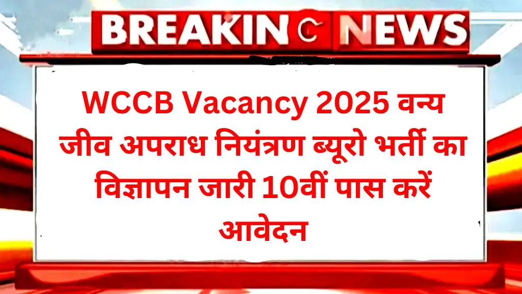 WCCB Vacancy 2025